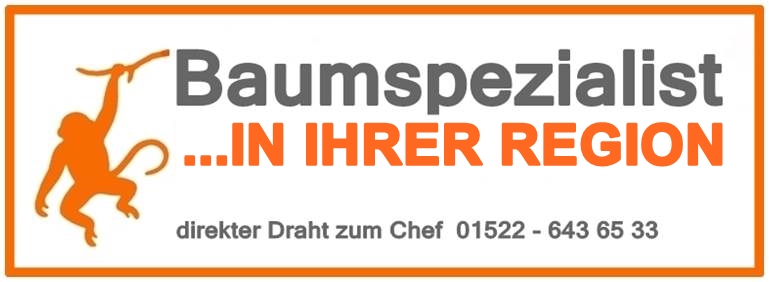 Baumpfleger